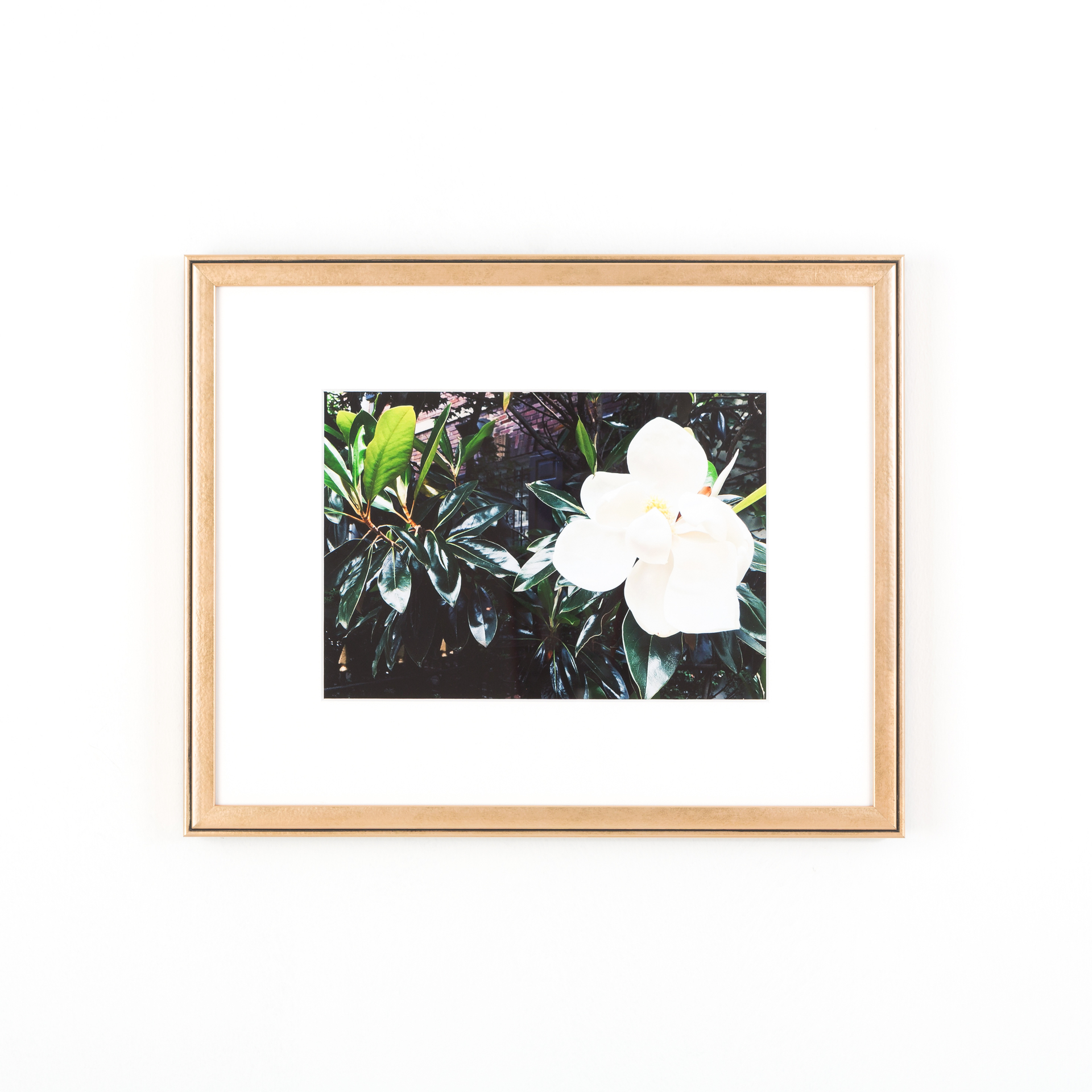 Rosemont Rose Gold Metallic Frame Framebridge